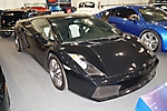 fia (55)