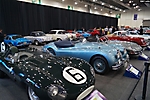 fia (73)