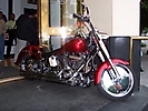 moto fashion 06 (4)
