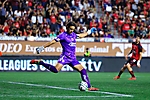 xolos
