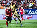 xolos (9)