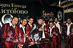 microfono oro (8)