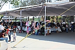 expo coleccionistas (2) 