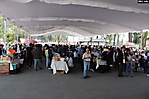 expo coleccionistas (3) 