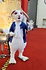 Expos y Eventos