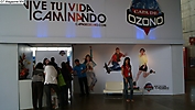 sapica 2010-a (10)