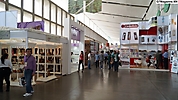 sapica 2014 (53)