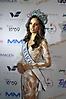 Miss CDMX (377)