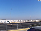 tijuana (1)