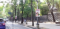 cdmx (3)
