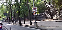 cdmx (4)
