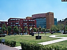 mexico city (247)
