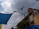 tepito