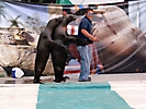 feria metepec 05 (188)