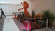 metepec 030513 (99)