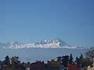 zinacantepec (4)