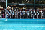 concurso