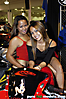 chicas-sexys (330)