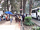 difem280906 (34)