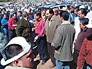 edomex2 (235)