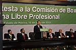 edomex 150612 (12)