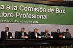 edomex 150612 (4)