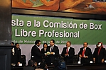 edomex 150612 (7)