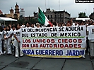 edomex 300808 (7)