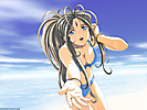 amg_29_1024