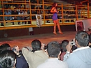 Festival Erotico (158)