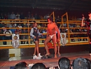Festival Erotico (166)
