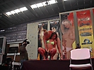 Festival Erotico (220)