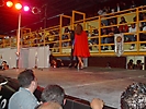 Festival Erotico (251)