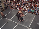 Festival Erotico (351)