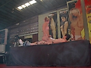 Festival Erotico (99)