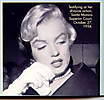 Marilyn Monroe (336)