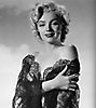 Marilyn Monroe (341)