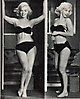 Marilyn Monroe (358)