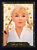 Marilyn Monroe (363)