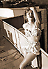 Marilyn Monroe (377)
