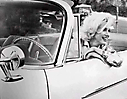 Marilyn Monroe (403)