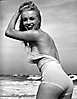 Marilyn Monroe (494)
