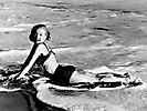 Marilyn Monroe (519)