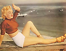 Marilyn Monroe (556)