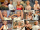 Marilyn Monroe (564)