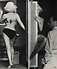 Marilyn Monroe (568)