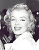 Marilyn Monroe (586)