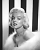 Marilyn Monroe (691)