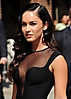 megan fox (329)