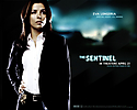 SENT_Wallpaper1280_03